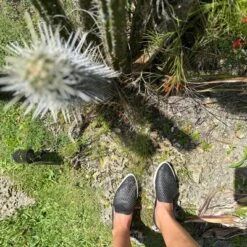 Jibs Adult Slim Fashion Sneaker Flat -Noble Heels GUEST 1a044e61 65b1 49a8 9837 f8a047f2487f